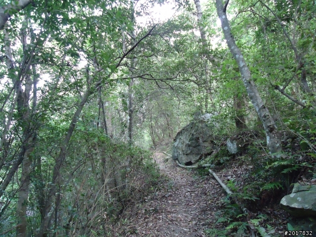 2012-3-18谷關七雄--屋我尾山