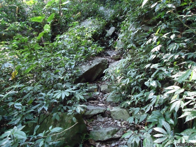 2012-3-18谷關七雄--屋我尾山