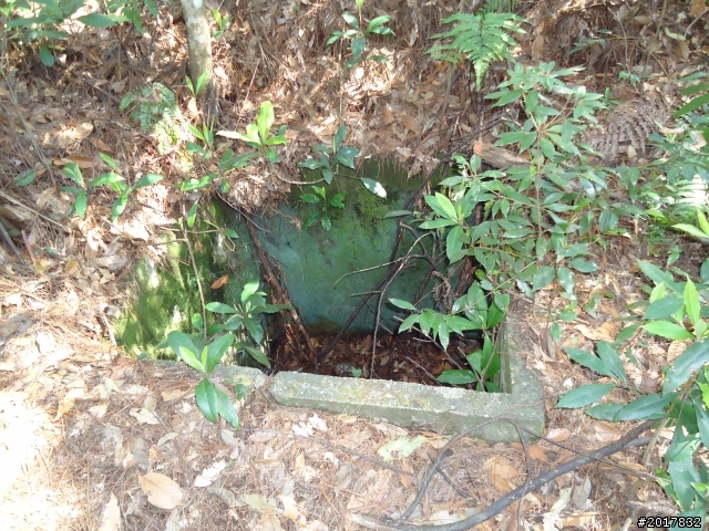 2012-3-18谷關七雄--屋我尾山