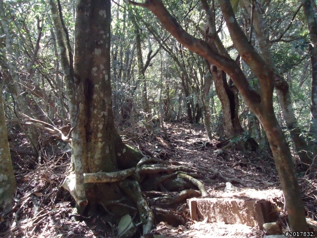 2012-3-18谷關七雄--屋我尾山