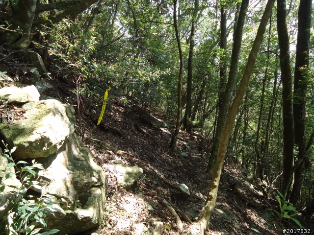 2012-3-18谷關七雄--屋我尾山