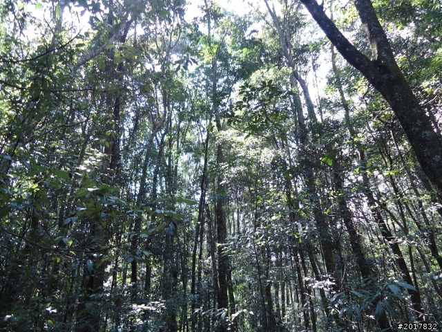 2012-3-18谷關七雄--屋我尾山