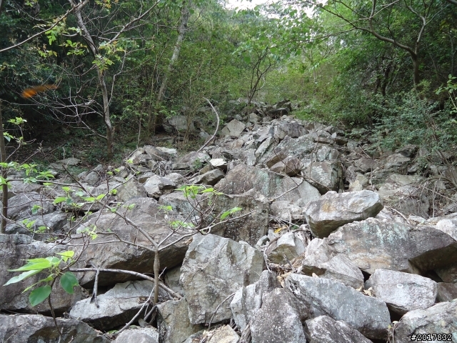 2012-3-18谷關七雄--屋我尾山