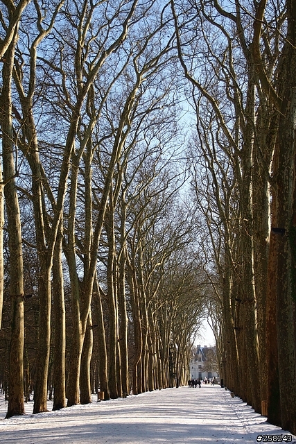 【西西分享】法國DAY3-香波堡Chambord、布洛瓦Blois、雪儂梭堡Chenonceaux
