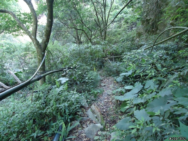 2012-3-18谷關七雄--屋我尾山