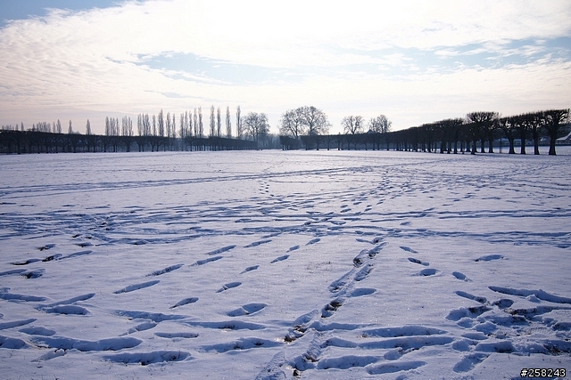 【西西分享】法國DAY3-香波堡Chambord、布洛瓦Blois、雪儂梭堡Chenonceaux