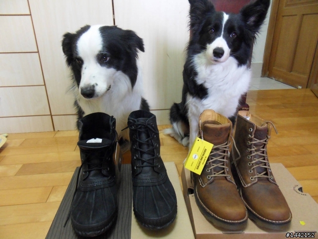 Sorel & Dr. Martens 二雙靴開箱文
