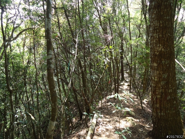 2012-3-18谷關七雄--屋我尾山