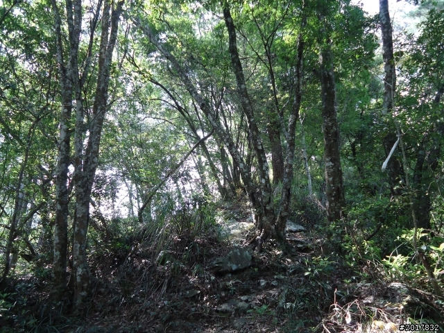 2012-3-18谷關七雄--屋我尾山