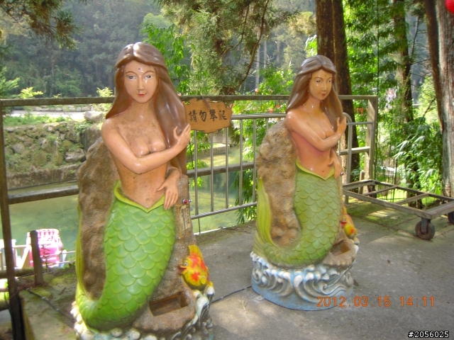 一個老阿伯的旅遊分享記(三)/杉林溪一日遊(2012/03/15)
