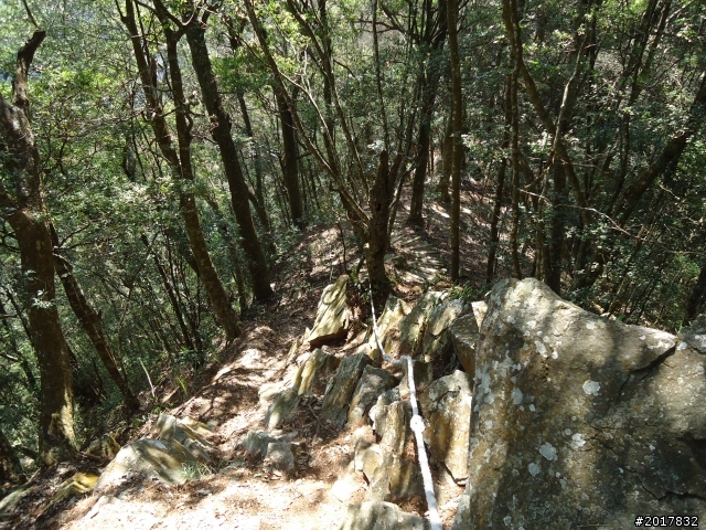 2012-3-18谷關七雄--屋我尾山