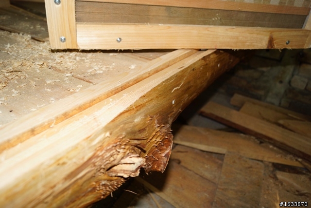 DIY簡單蓋鋼構木屋