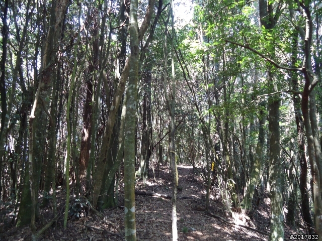 2012-3-18谷關七雄--屋我尾山