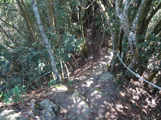 2012-3-18谷關七雄--屋我尾山