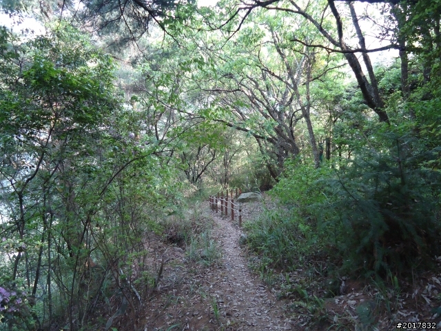 2012-3-18谷關七雄--屋我尾山