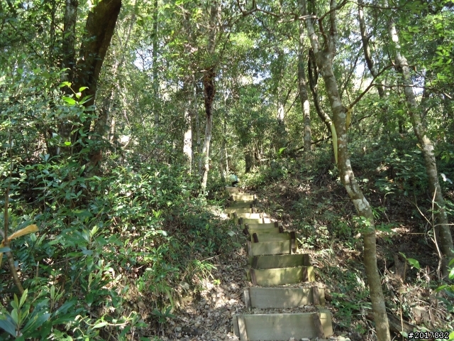 2012-3-18谷關七雄--屋我尾山
