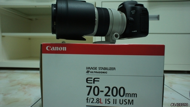 買不到D4那就開5D3+小白兔吧~