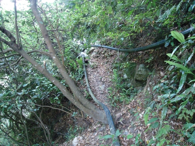 2012-3-18谷關七雄--屋我尾山