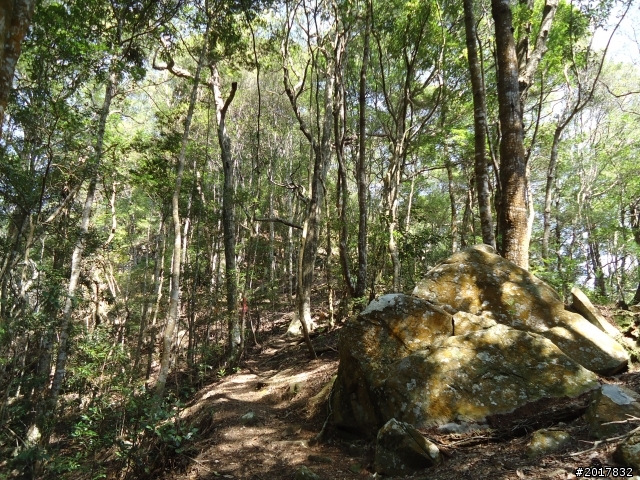2012-3-18谷關七雄--屋我尾山