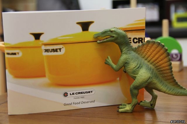 不專業的開箱,新入手的 法國 LE CREUSET 20cm 鑄鐵鍋具 橘色的