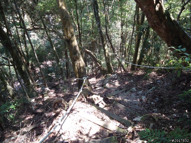 2012-3-18谷關七雄--屋我尾山