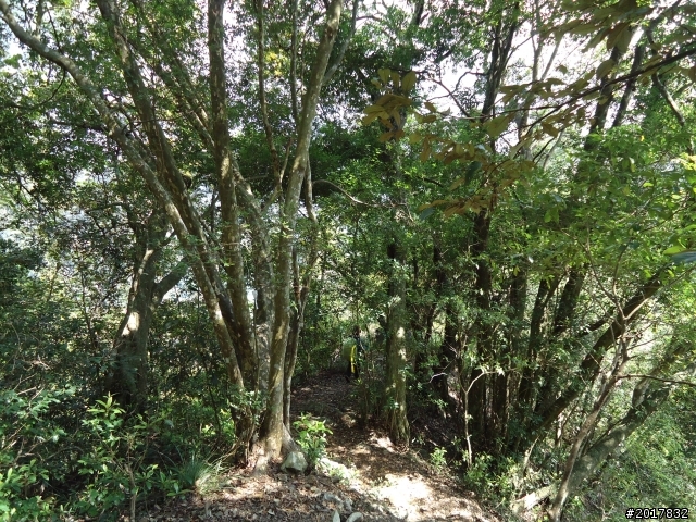 2012-3-18谷關七雄--屋我尾山