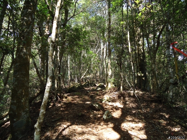 2012-3-18谷關七雄--屋我尾山