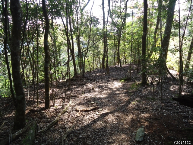 2012-3-18谷關七雄--屋我尾山