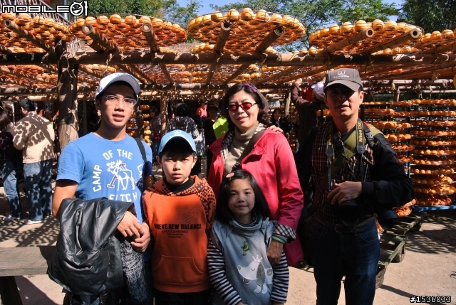 心之芳庭、新社古堡、科博館、香焦新樂園