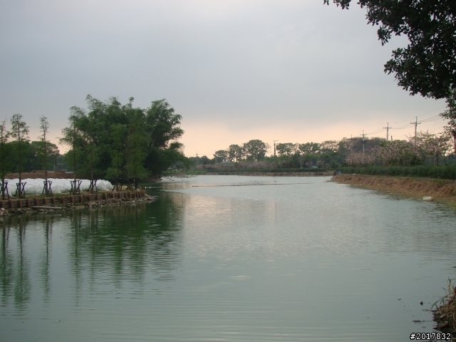 2012-4-12台南白河蓮花之鄉到處晃