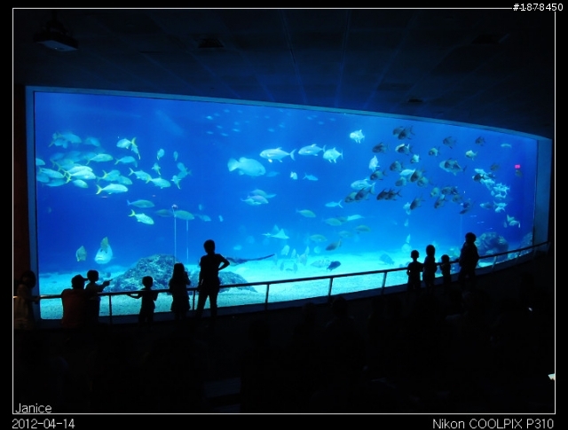 【0414-0415 綿羊團】南台灣熱浪 (。◕‿◕。)❀