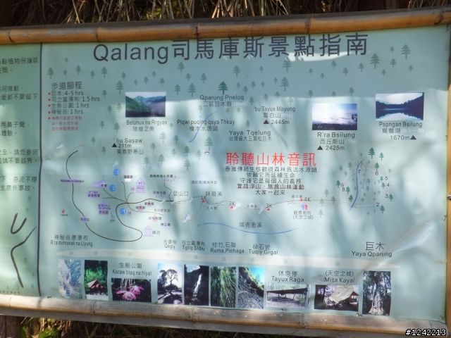 司馬庫斯+鎮西堡+水田道路<六曲窩道路>超級一日行