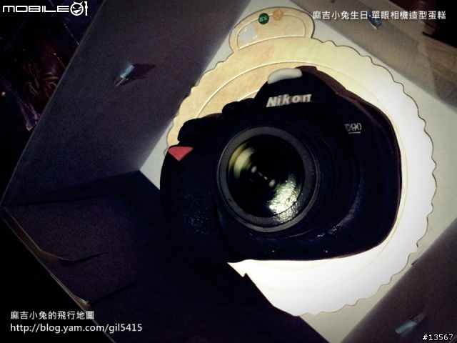 分享一下今年生日收到的單眼相機造型蛋糕!