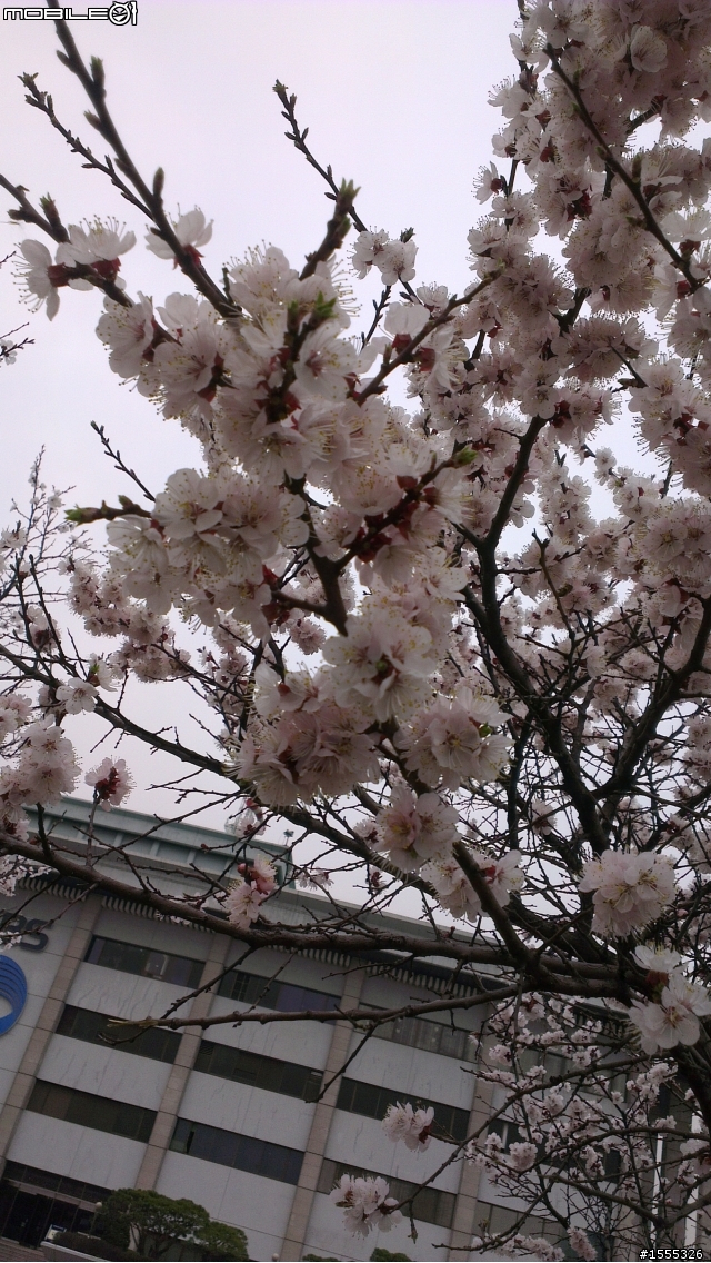 HTC ONE X 開箱 5/3維修後 得到不太令人接受的結果