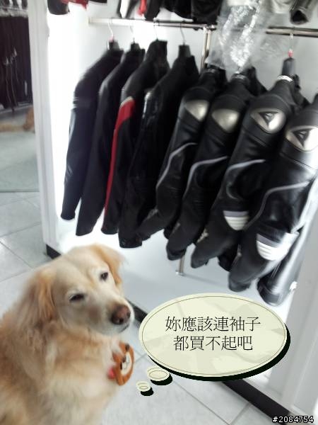 省道一姐輕省生活~我在城市間輕旅行。