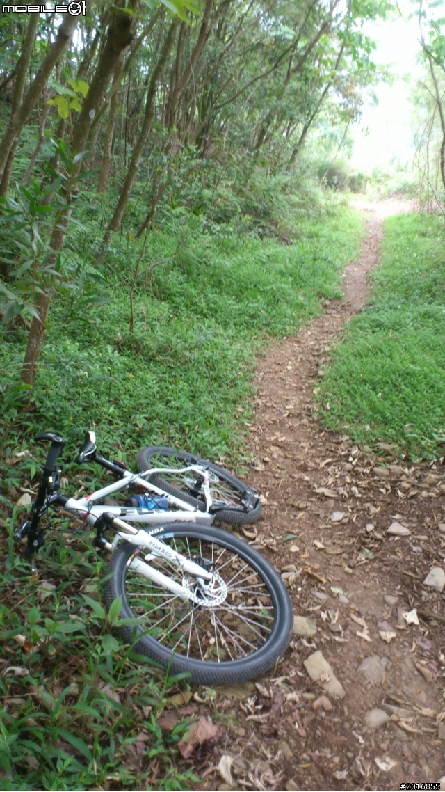 「簡單路線分享」屏東瑪家鄉,白賓山
