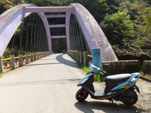 司馬庫斯+鎮西堡+水田道路<六曲窩道路>超級一日行