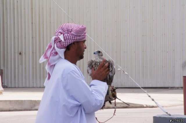 去油國坐郵輪﹣Costa Favolosa 杜拜自助奇航遊記 day5&6 in Abu Dhabi & Khasab