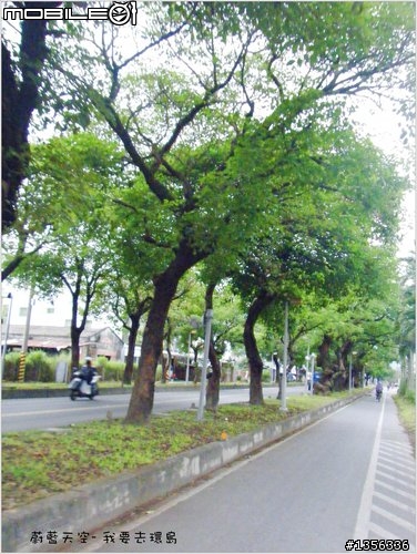夢想的實踐需要一股傻勁 二個女生過了而立之年的11天鐵馬環島 圖文超多檔請耐心觀看 己更新到第8天