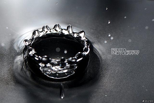 【分享】AF-S VR Micro-Nikkor 105mm f/2.8G IF-ED 開箱、實拍