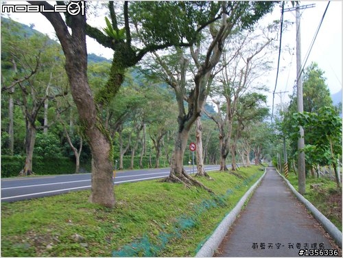 夢想的實踐需要一股傻勁 二個女生過了而立之年的11天鐵馬環島 圖文超多檔請耐心觀看 己更新到第8天