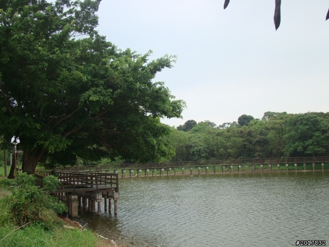 2012-4-12台南白河蓮花之鄉到處晃