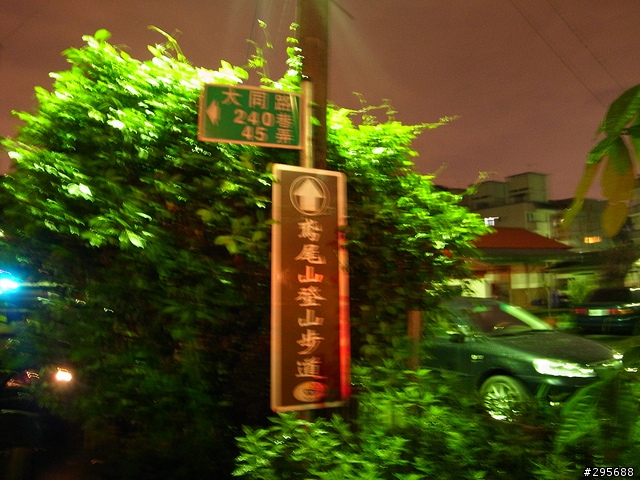 三峽油桐花開+螢火蟲季