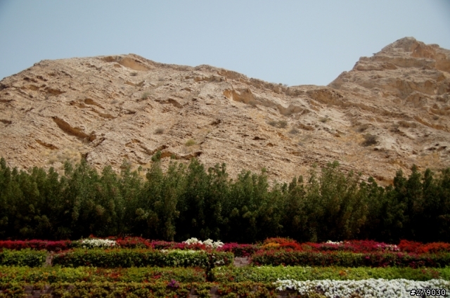 去油國坐郵輪﹣Costa Favolosa 杜拜自助奇航遊記 day3&4 in muscat & fujayrah