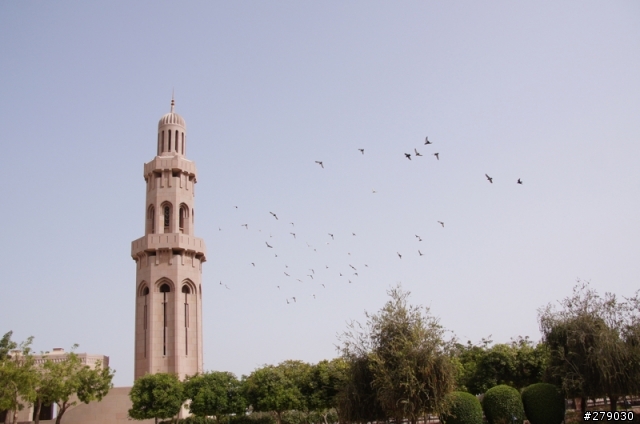 去油國坐郵輪﹣Costa Favolosa 杜拜自助奇航遊記 day3&4 in muscat & fujayrah