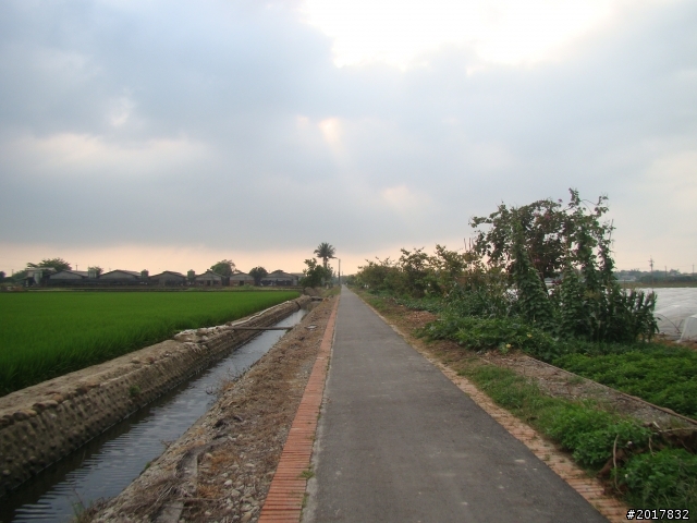 2012-4-12台南白河蓮花之鄉到處晃