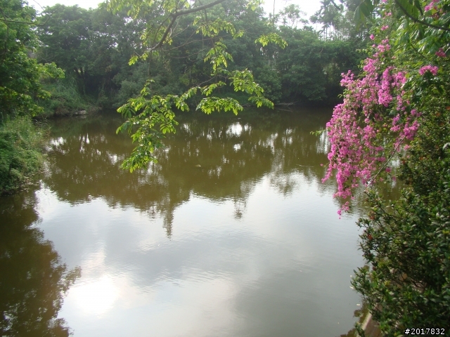 2012-4-12台南白河蓮花之鄉到處晃