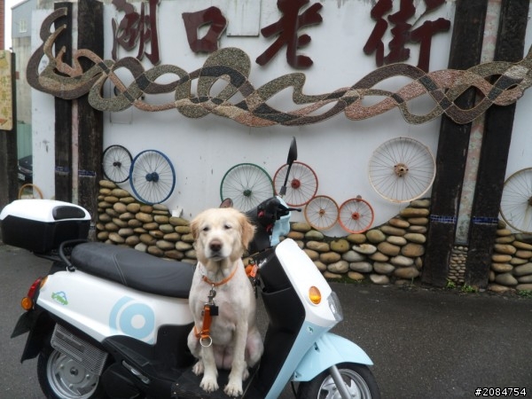 省道一姐輕省生活~我在城市間輕旅行。