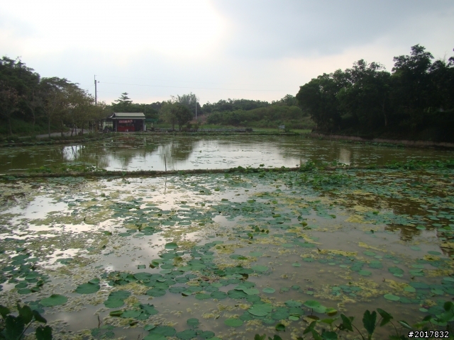 2012-4-12台南白河蓮花之鄉到處晃