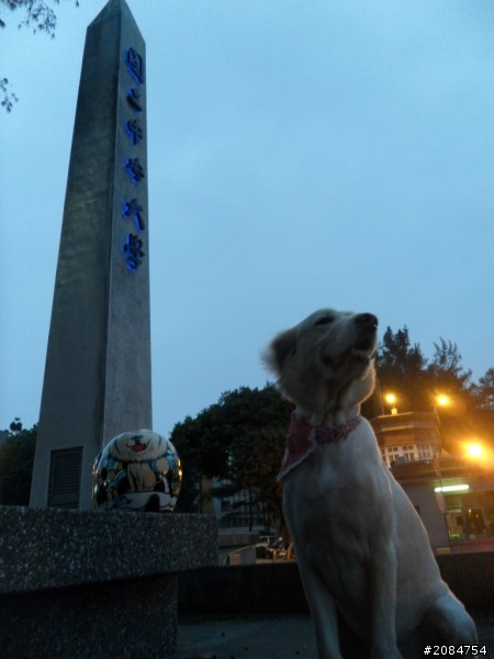 省道一姐輕省生活~我在城市間輕旅行。